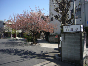 写真：曹洞宗・龍淵山 白泉寺
