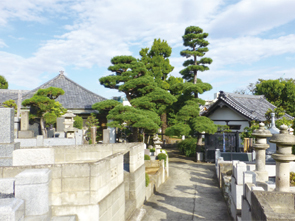 写真：大明山 無量院 光傳寺墓苑